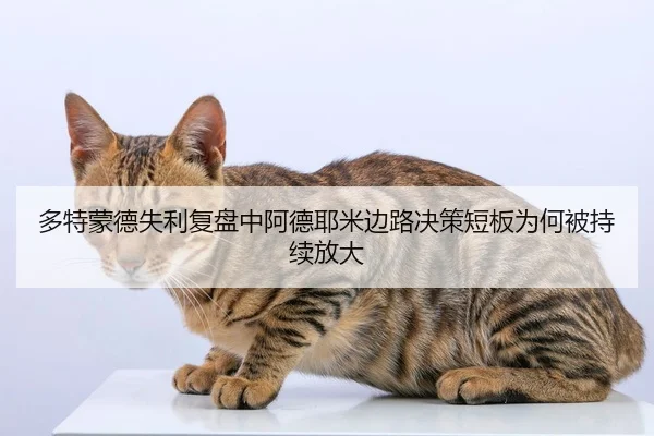 多特蒙德失利复盘中阿德耶米边路决策短板为何被持续放大